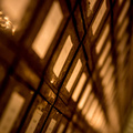 _IMG_7443.JPG