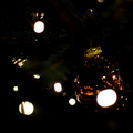 _IMG_0566.JPG