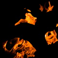 _IMG_0783.JPG
