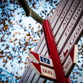 _IMG_0807.JPG