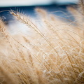 _IMG_0846.JPG