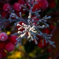 IMG_5564.jpg