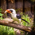 IMG_6521.jpg