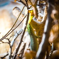 IMG_6573.jpg