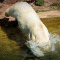 IMG_2879.jpg