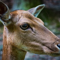 IMG_4191.jpg