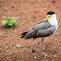 KL2A5028.jpg