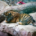 KL2A5828.jpg