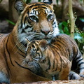 KL2A5845.jpg