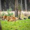 KL2A8467.jpg