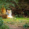 KL2A8521.jpg